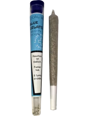 Local Weed – Preroll Blue Gelato CBD indoor 24 %
