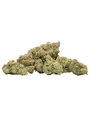 Plutonium CBD-Blüten Indoor 19 % | Extract Lab