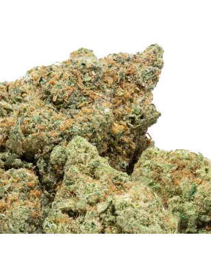 Plutonium CBD-Blüten Indoor 19 % | Extract Lab
