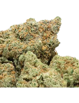 Plutonium CBD-Blüten Indoor 19 % | Extract Lab
