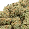 Plutonium fleurs CBD Indoor 19 % | Extract Lab