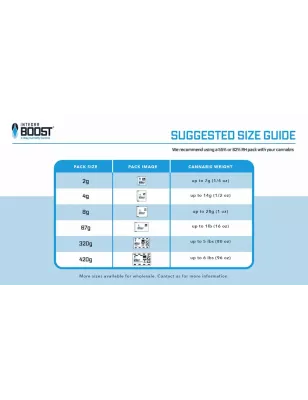 Integra Boost - suggested size guide