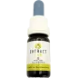 Extract Lab – CBD-Öl 35% Vollspektrum 10 ml