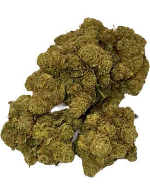 Gaiabis – Amnesia Fleur CBD Indoor