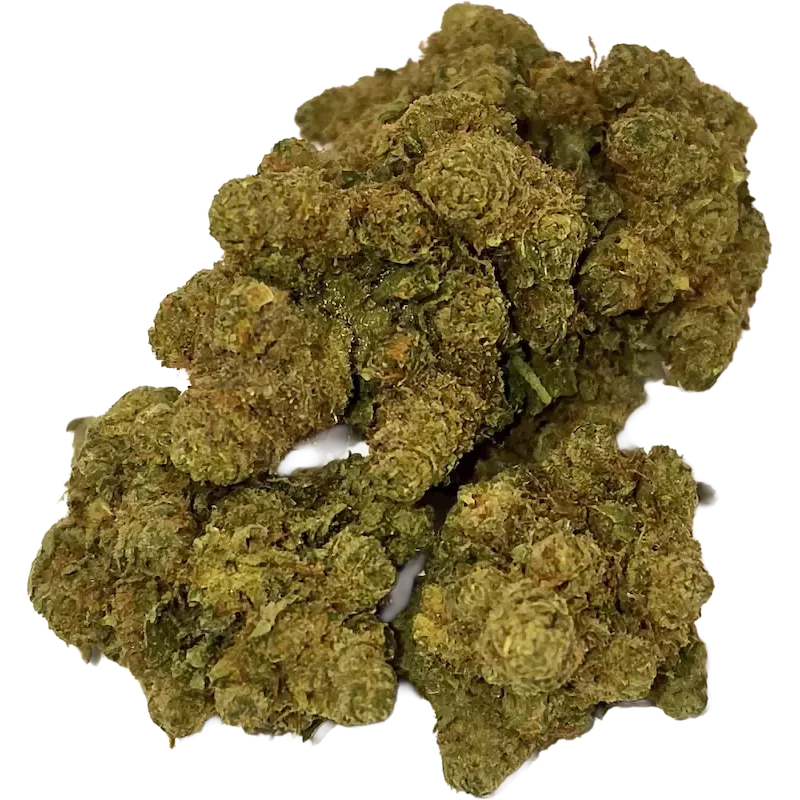 Gaiabis – Amnesia Fleur CBD Indoor