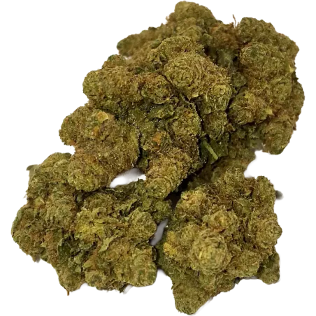 Gaiabis – Amnesia Fleur CBD Indoor