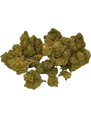 Amnesia Gaiabis CBD-Blüte Indoor