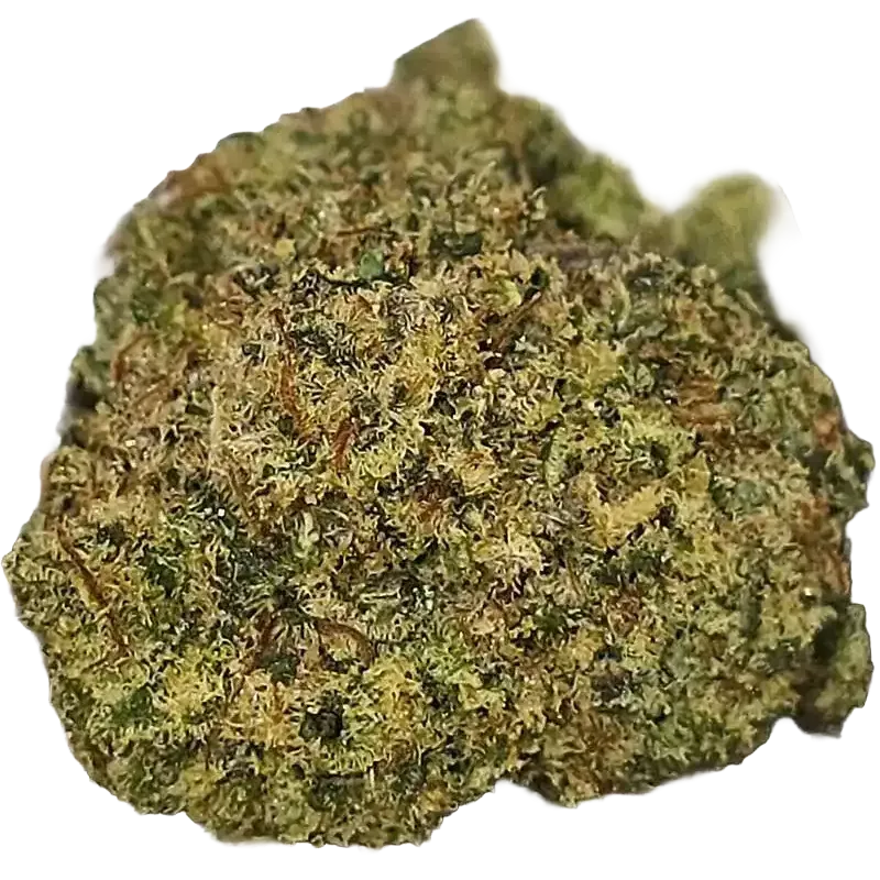 Gaiabis – White Widow CBD Indoor Blüten