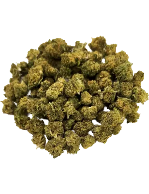 Gaiabis – Small Buds Haze CBD Indoor 20 g
