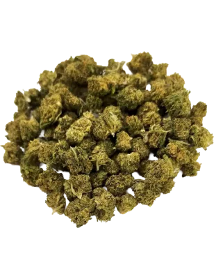 Gaiabis – Small Buds Haze CBD Indoor 20 g