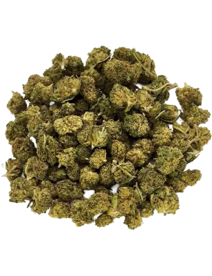 Gaiabis – Small Buds Haze CBD Indoor 20 g