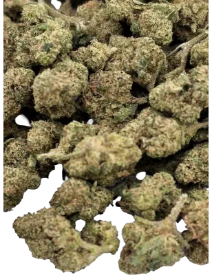 Gaiabis – Small Buds Mango CBD Indoor 20 g