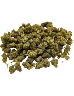 Gaiabis – Small Buds Mango CBD Indoor 20 g