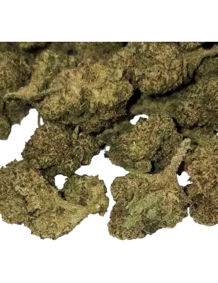 Gaiabis – Small Buds Mango CBD Indoor 20 g
