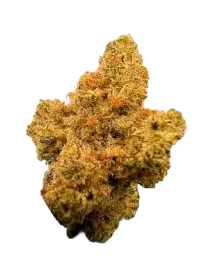 Cannabees – Orange Ice Fleurs de CBD 4g/10g