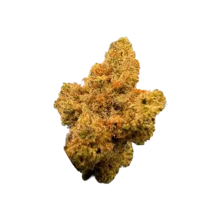 Cannabees – Orange Ice Fleurs de CBD 4g/10g