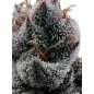 Cannabees – Purple Fuel Fleur CBD Indoor 4g/10g