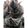 Cannabees – Purple Fuel CBD Blüten 4g