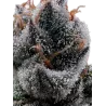 Cannabees – Purple Fuel Fleurs de CBD 4g