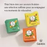 Alpsbee – Coffret Collection Thés Cannabis 3 variétés