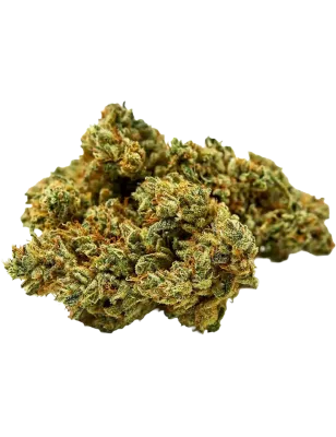 Qualicann – Sweet Star Fleurs de CBD 2g