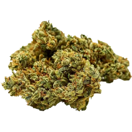 Qualicann – Sweet Star CBD Blüten 2g/5.5g