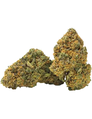 Qualicann Banana Diesel Fleurs de CBD 2g