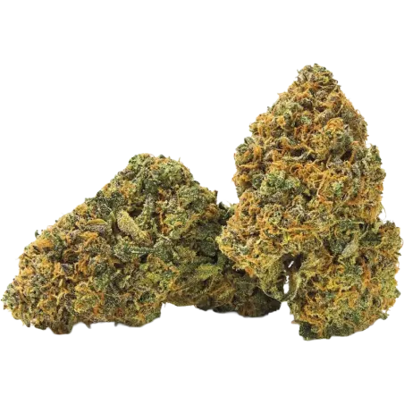 Qualicann Banana Diesel CBD Blüten 2g/5.5g