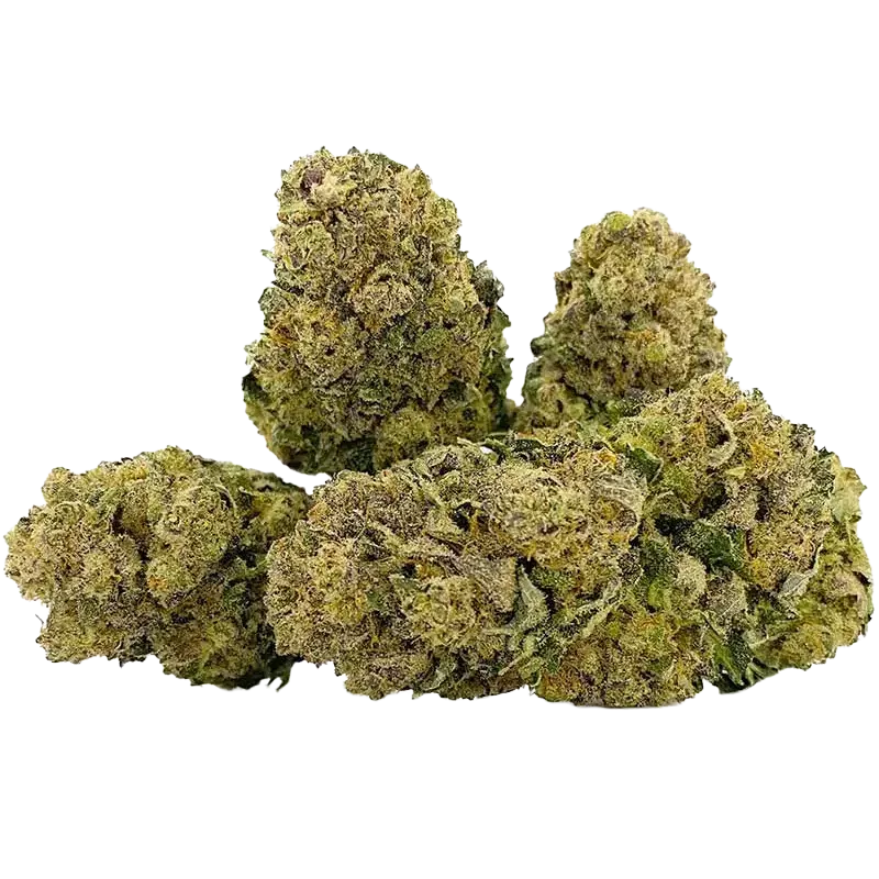 Qualicann Habanero Kush – CBD Blüten 5.5g