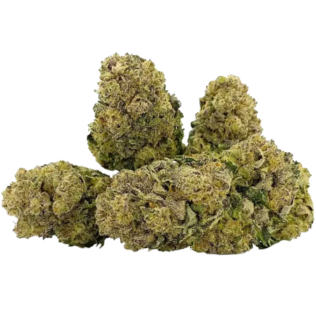 Qualicann Habanero Kush – CBD Blüten 2g/5.5g
