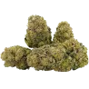 Qualicann Habanero Kush – Fleurs de CBD 5.5g