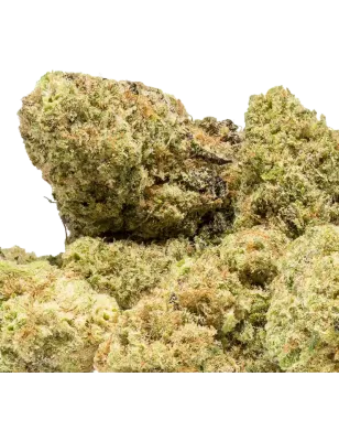Extract Lab – Harlequin X Cannatonic Indoor