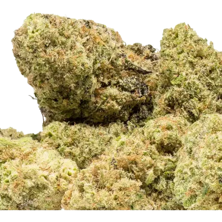 Extract Lab – Harlequin X Cannatonic CBD-Blüte Indoor 5g/10g