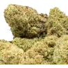 Extract Lab – Harlequin X Cannatonic Indoor