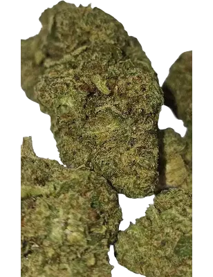 Gaiabis – AK Forte Indoor 10 grammes