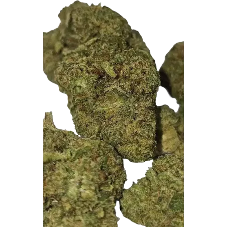 Gaiabis – AK Forte Fleur CBD Indoor 5g/10g
