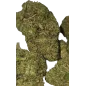 Gaiabis – AK Forte Fleur CBD Indoor 5g/10g