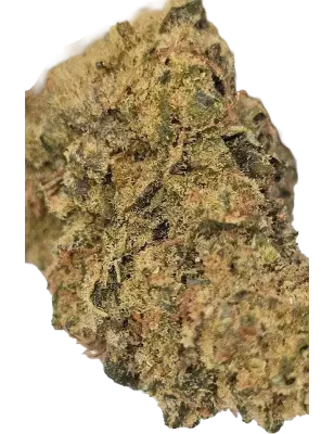 Gaiabis – Frozty Fleurs de CBD Indoor