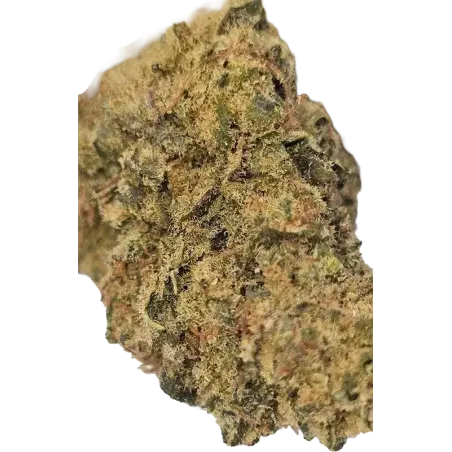 Gaiabis – Frozty CBD Indoor Blüten 5g/10g