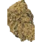 Gaiabis – Frozty Fleurs de CBD Indoor 5g/10g