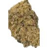 Gaiabis – Frozty Fleurs de CBD Indoor