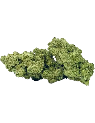 Local Weed – Gorilla Glue CBD Indoor Blüten 2g