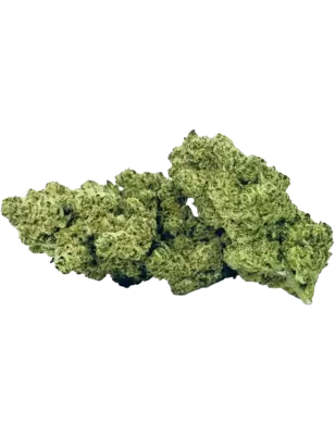 Local Weed – Gorilla Glue Fiori di CBD Indoor