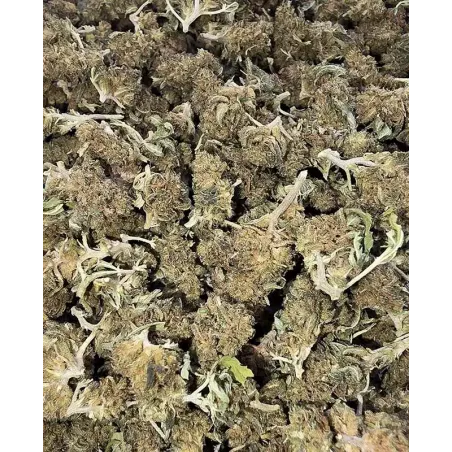 Gaiabis – Super Skunk Small Buds Hybride Greenhouse 50g
