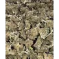 Gaiabis – Super Skunk Small Buds Hybrides Greenhouse 50g
