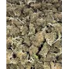 Gaiabis – Super Skunk Small Buds Hybrides Greenhouse 50g