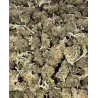 Gaiabis – Super Skunk Small Buds Hybride Greenhouse 50g