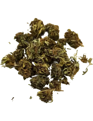 Weed Avenue – La Hyia AK69 Fleur CBD Outdoor