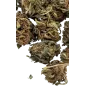 Weed Avenue – La Hyia AK69 CBD-Blüte Outdoor