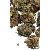 Weed Avenue – La Hyia AK69 Fiore CBD Outdoor